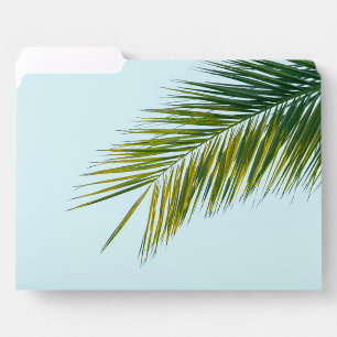 Tropical Green Palm Frond on Light Blue File Folder