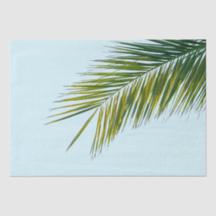 Tropical Green Palm Frond on Light Blue Tissue Paper