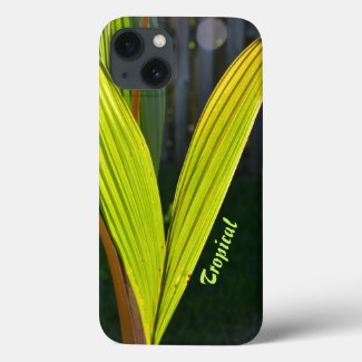 Tropical Green Palm Fronds