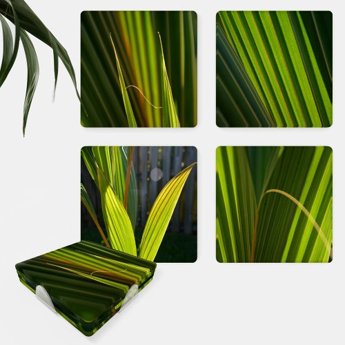 Tropical Green Palm Fronds Coaster Set