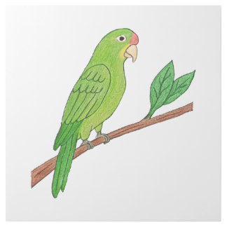 Tropical green parakeet gallery wrap
