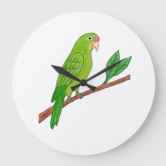 Tropical green parakeet large clock (Front)
