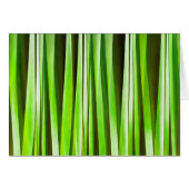 Tropical Green Riverweed (Front Horizontal)