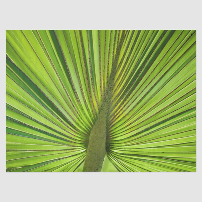 Tropical Green Tissue Paper (Front)