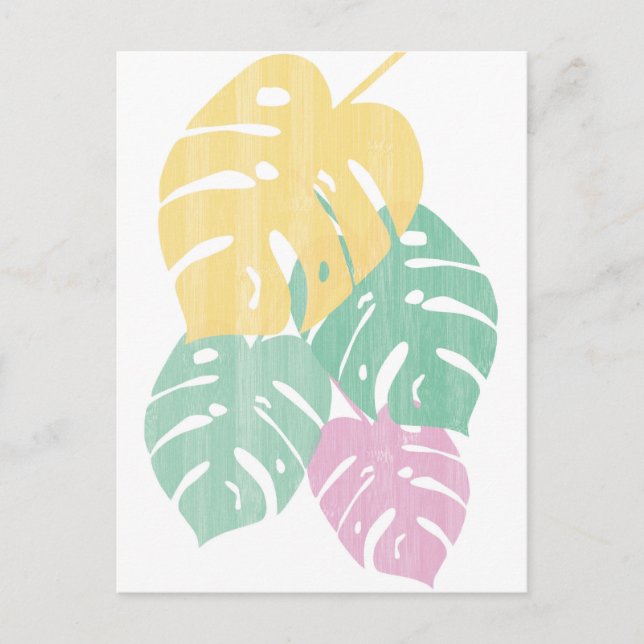 Tropical Greenery - Monstera Leaves Postcard (Front)