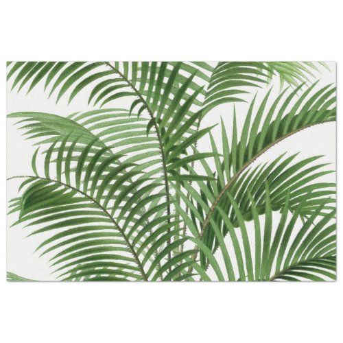 Tropical Greenery Watercolor Palm Tree Leaves   Tissue Paper