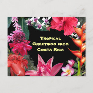 Tropical Greetings from Costa Rica Postcard