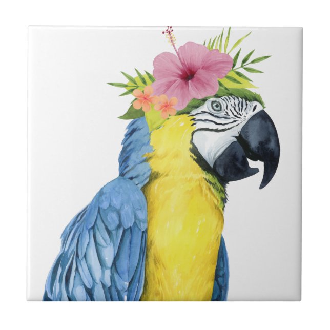 Tropical Halo - Parrot Ceramic Tile (Front)