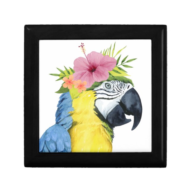 Tropical Halo - Parrot Gift Box (Front)