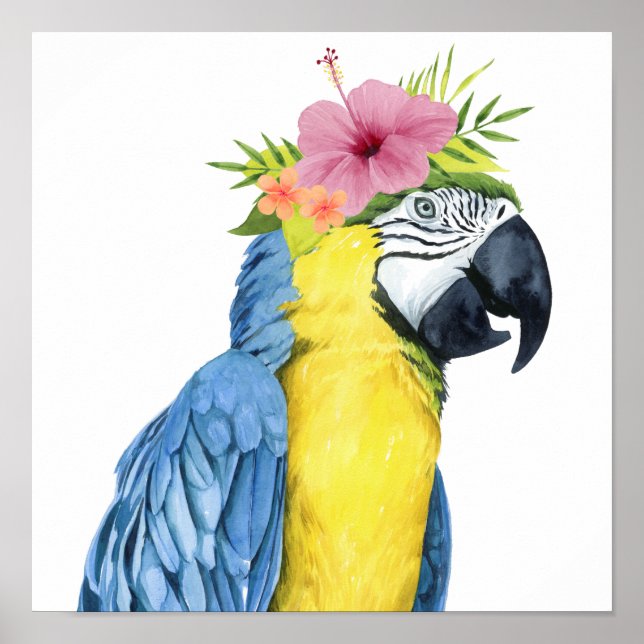 Tropical Halo - Parrot Poster (Front)