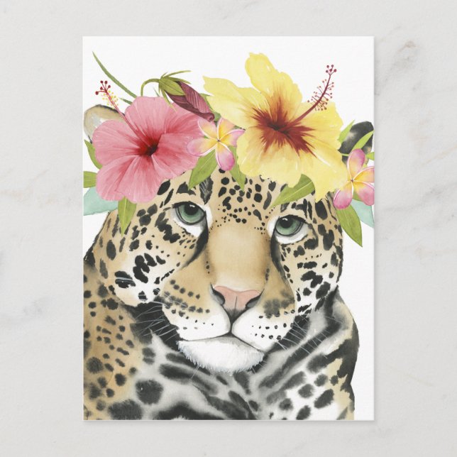 Tropical Halo | Sweet Cheetah Postcard (Front)