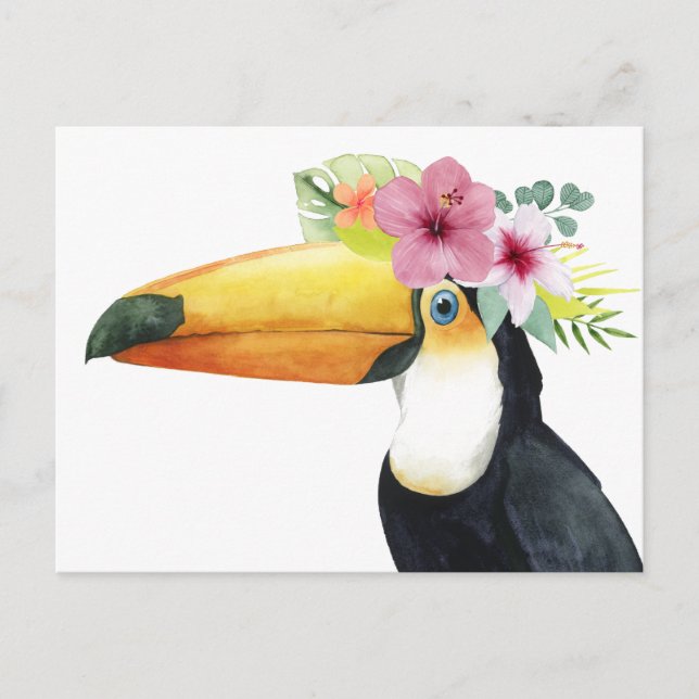 Tropical Halo - Toucan Postcard (Front)
