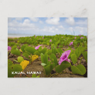 Tropical Hawaii Beach Flower   Kauai Postcard