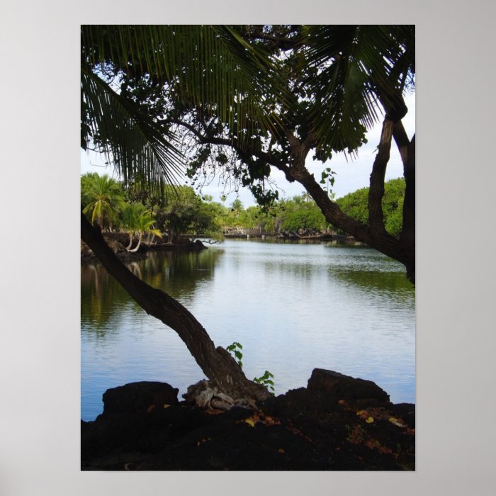 Tropical Hawaii Fish Pond Print