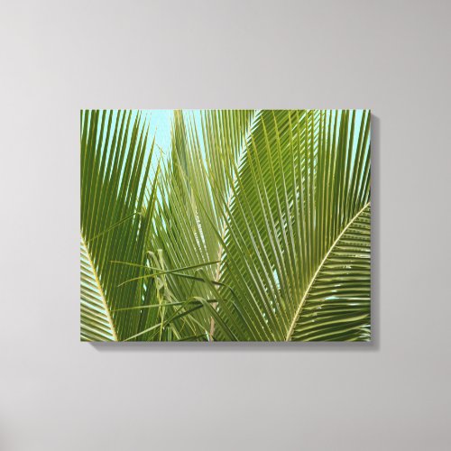 Tropical Hawaii Palm Tree Canvas Print