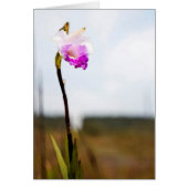 Tropical Hawaii Volcano Wild Orchid (Front)