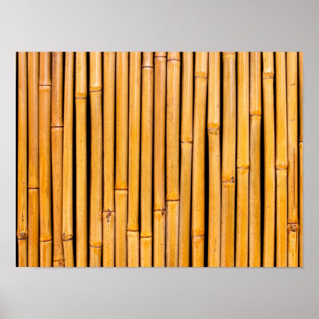 Tropical Hawaiian Bamboo Background Template Poster (Front)