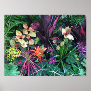 Tropical Hawaiian Flora Poster