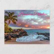 Tropical Hawaiian Palm Tree Sandy Beach Paradise