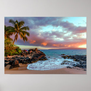 Tropical Hawaiian Palm Tree Sandy Beach Paradise Poster