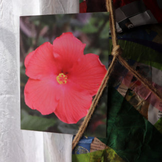 Tropical Hibiscus Flower Art Postcard