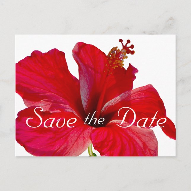 Tropical Hibiscus Wedding Save the Date Announcement Postcard (Front)