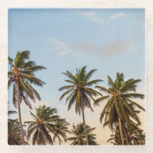 Tropical Holiday Palm Trees Glass Coaster
