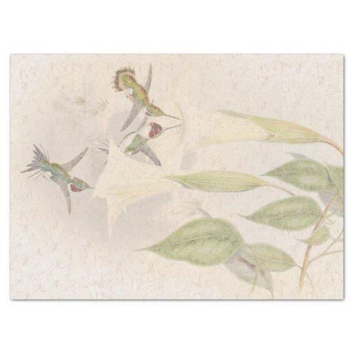 Tropical Hummingbird Birds Floral Tissue Paper