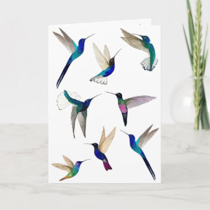 Tropical Hummingbirds Card