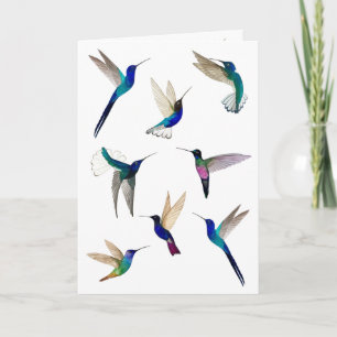 Tropical Hummingbirds Card