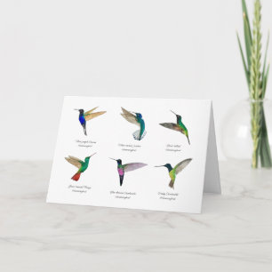 Tropical Hummingbirds Card