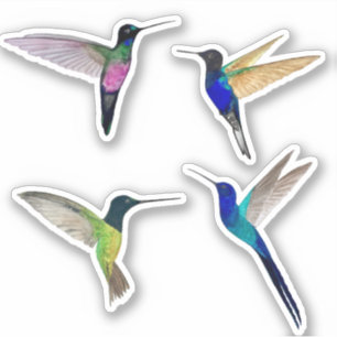 Tropical Hummingbirds Sticker