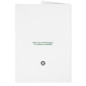 Tropical Hydrangea Tree (Back)