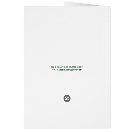 Tropical Hydrangea Tree (Back)