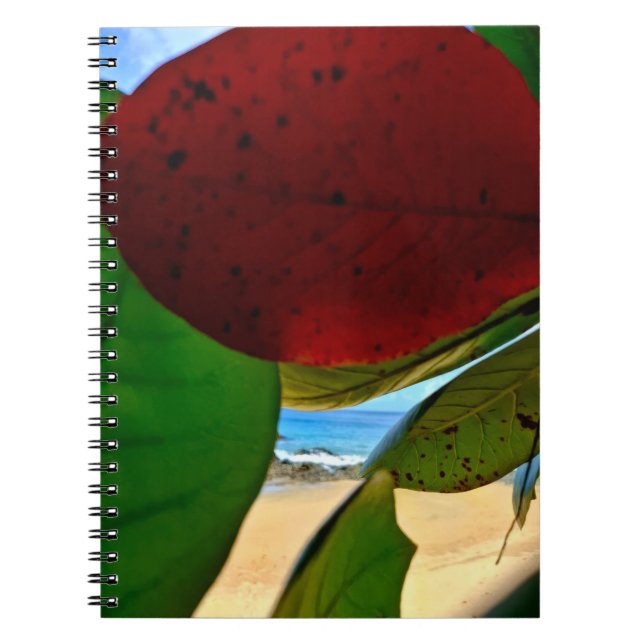 Tropical Inspiration Notebook  (Front)