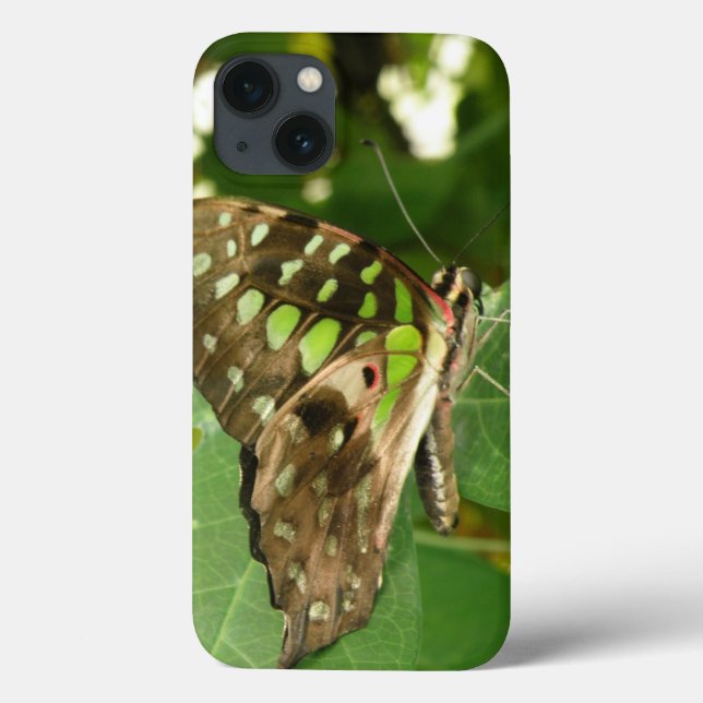 Tropical Iridescent Green Butterfly iPad Case (Back)