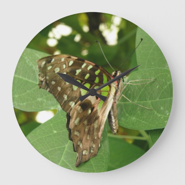 Tropical Iridescent Green Butterfly Wall Clock (Front)
