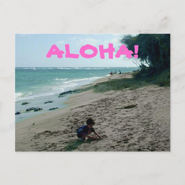Tropical Island Beach Postcard (Front)