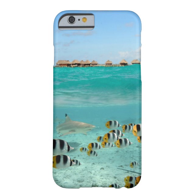 Tropical island iPhone 6 case (Back)