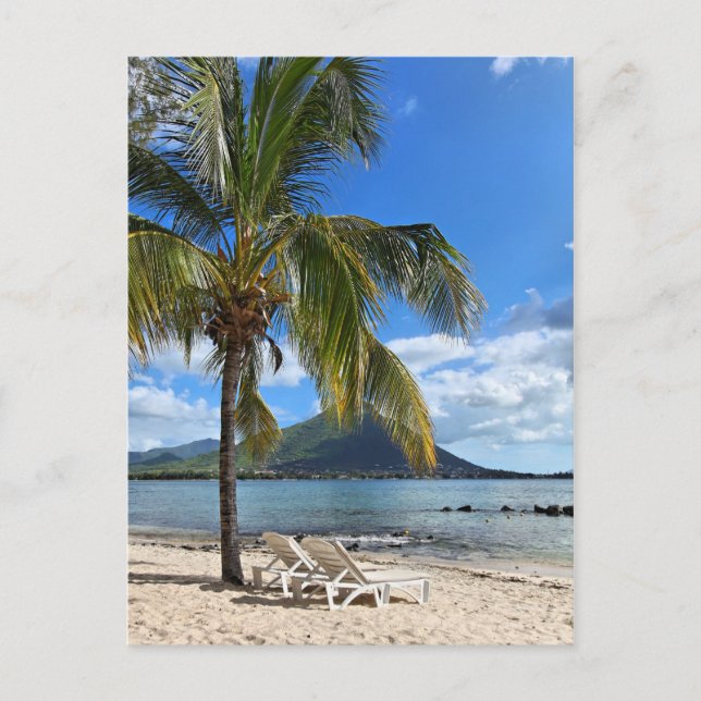 Tropical Island Lifestyle Postcard (Front)