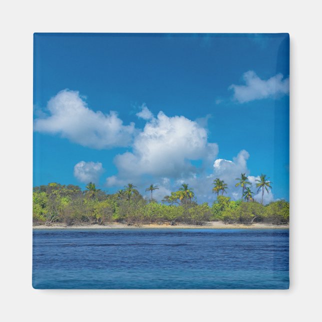 Tropical Island Paradise with Palm Trees  Magnet (Front)