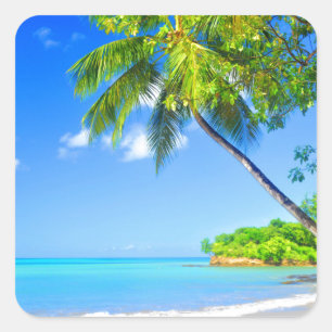 Tropical island square sticker