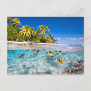 Tropical island under and above water postcard