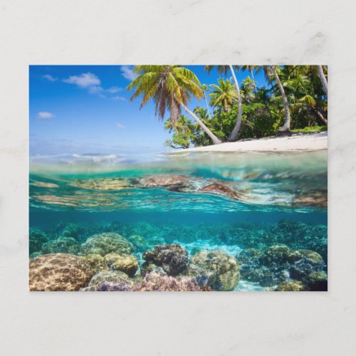Tropical island under and above water postcard