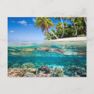 Tropical island under and above water postcard