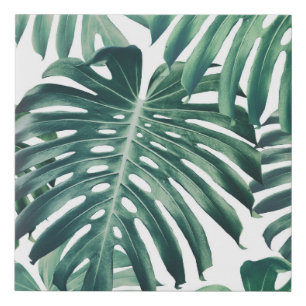 Tropical Jungle Leaves Floral Background Faux Canvas Print