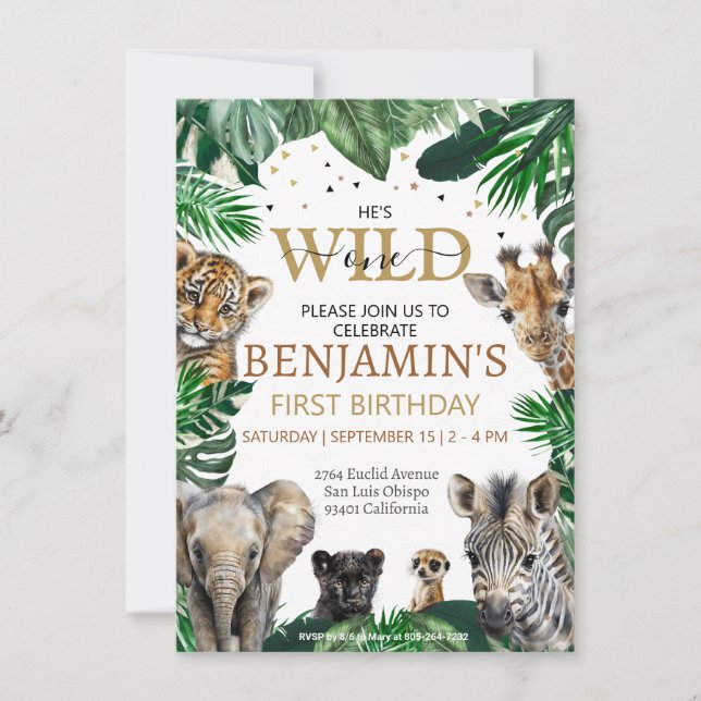 Tropical Jungle Safari Animals Birthday Invitation (Front)