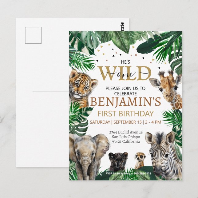 Tropical Jungle Safari Animals Birthday Postcard (Front/Back)