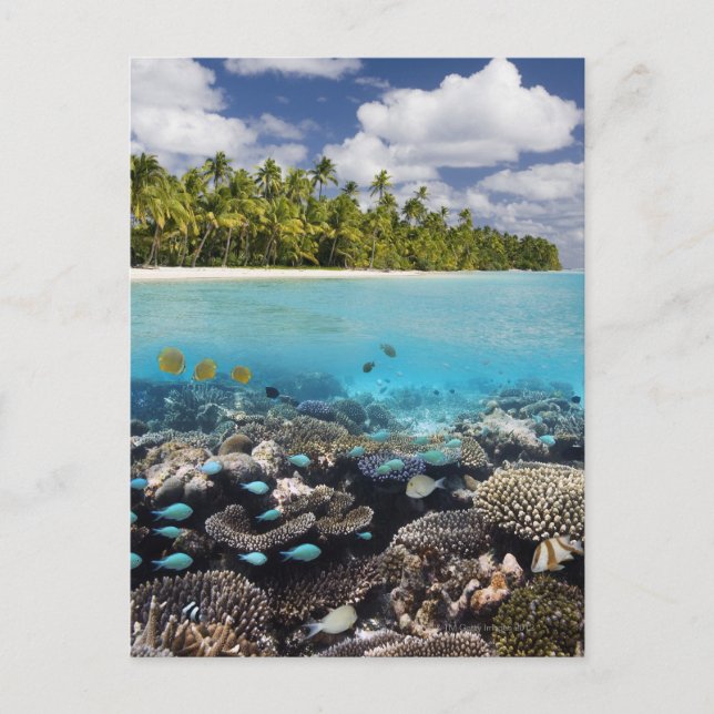 Tropical Lagoon in South Ari Atoll in the Postcard (Front)