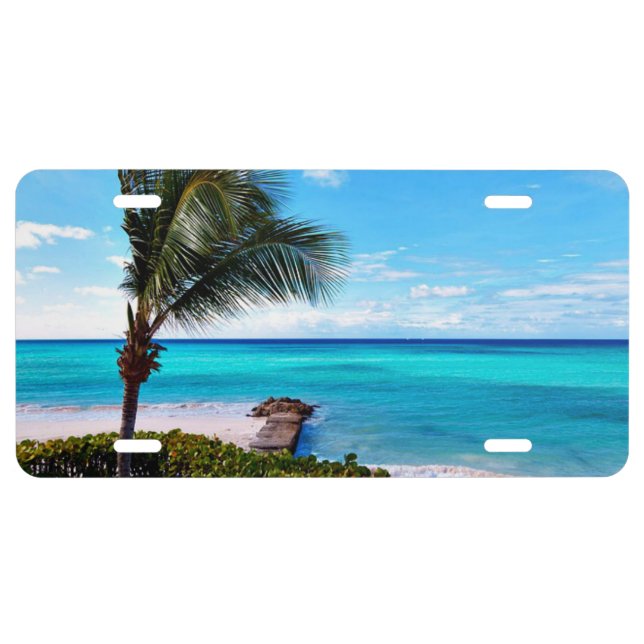 Tropical Landscape License Plate (Front)